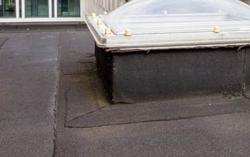 disadvantages of Shillingford St George flat roofs