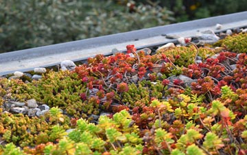 the cost of Shillingford St George green roof installation