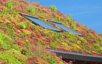 Shillingford St George living roof systems