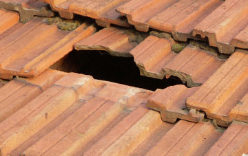 roof repair Shillingford St George, Devon
