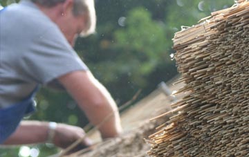 professional Shillingford St George thatchers